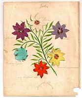 Lot 07 - Magical Flowers Folded Closed.jpg
